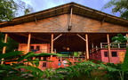 Yogis in the jungle 15