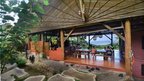 Selva Armonia 16