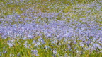 1805 Glacial Heritage 0491