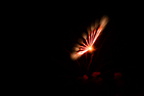 2107 fireworks 006