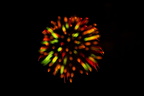 2107 fireworks 093